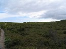 IMG_1234.jpg
