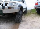 IMG_1239.jpg