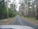 IMG_1271.jpg