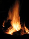 IMG_1288.jpg