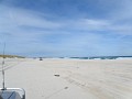 P5300052.jpg