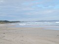 P5310114.jpg