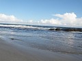 P5310138.jpg