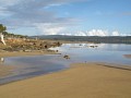 P5310142.jpg