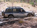 IMG_7300.jpg