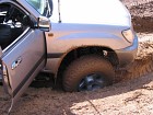 IMG_0915.jpg