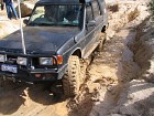 IMG_0931.jpg