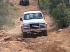 IMG_0962.jpg