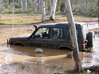 IMG_0972.jpg