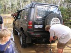 IMG_0979.jpg