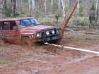 IMG_0988.jpg