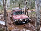 IMG_0999.jpg