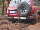 IMG_1003.jpg