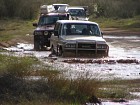 IMG_1009.jpg