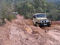 IMG_0118.jpg