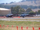 IMG_1467.jpg
