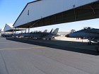 IMG_1469.jpg