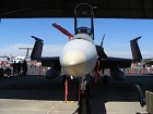 IMG_1488.jpg