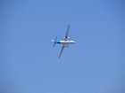 IMG_1529.jpg
