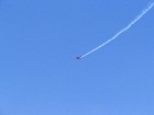 IMG_1533.jpg