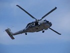IMG_1550.jpg