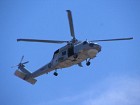 IMG_1553.jpg
