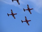 IMG_1571.jpg