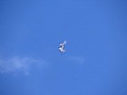 IMG_1580.jpg