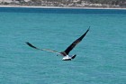 image011.jpg