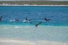image015.jpg