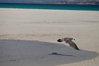 image016.jpg