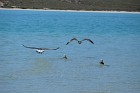 image019.jpg