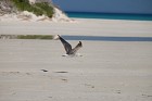 image021.jpg