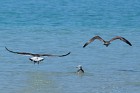 image024.jpg