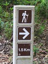 IMG_1937.jpg