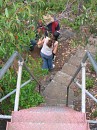 IMG_1950.jpg