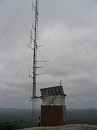 IMG_1954.jpg