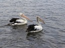 IMG_2010.jpg