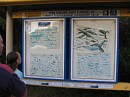 IMG_2113.jpg