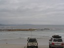 IMG_2140.jpg