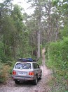 IMG_2142.jpg