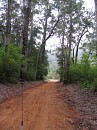 IMG_2192.jpg