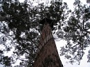 IMG_2196.jpg