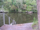 IMG_2209.jpg