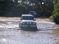 IMG_7446.jpg