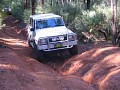 IMG_7455.jpg