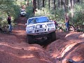 IMG_7462.jpg