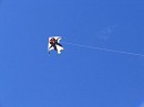 IMG_4230.jpg