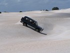 IMG_6950.jpg
