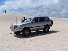 IMG_6959.jpg